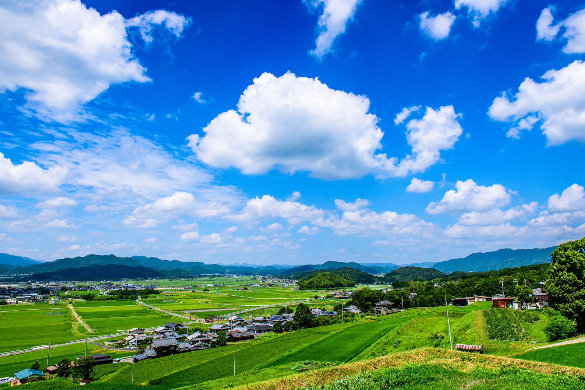 風景３